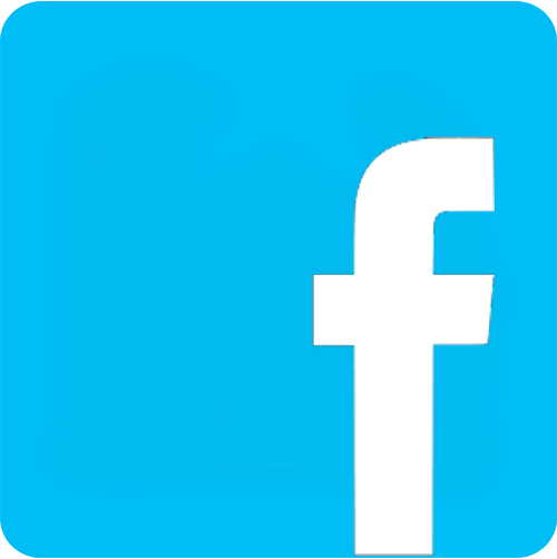 linkedin icon